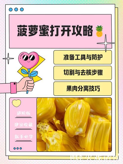 探索菠萝蜜视频App的独特魅力之旅 探索菠萝蜜视频App的独特魅力之旅