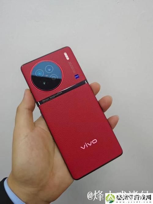 国产vivodeshd精品